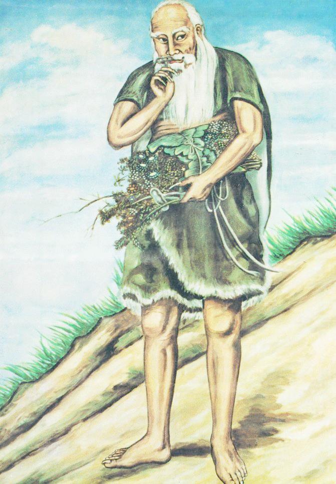 shennongshi
