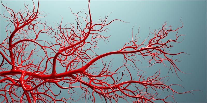 11494379_these-are-the-4-ways-cannabis-kills-cancer_t7bf9dcb7