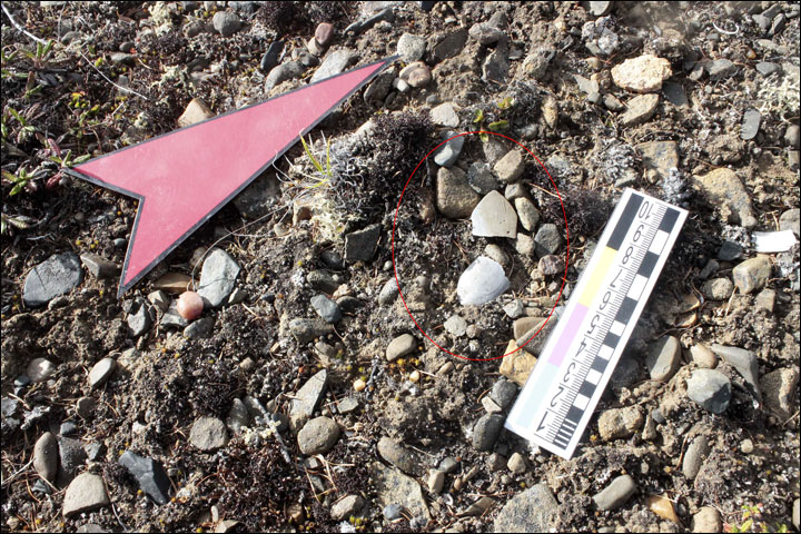 inside_labrets_insitu