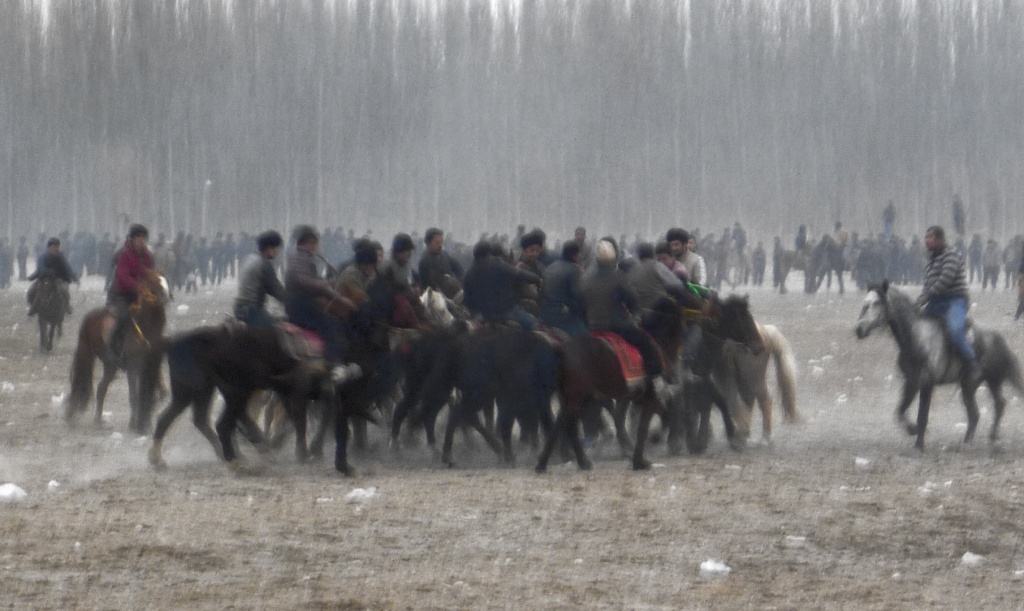 goat-pulling-1024×611