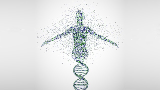 body-half-dna-640×360