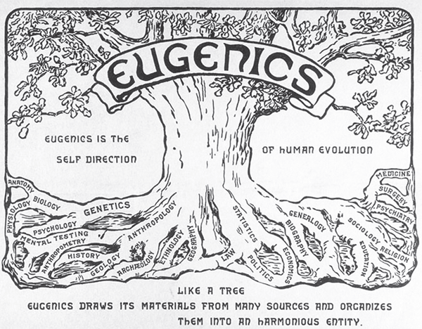 eugenics-tree