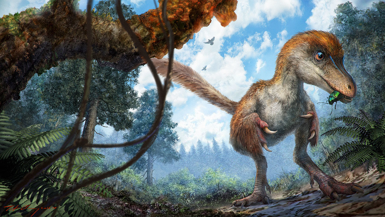 Coelurosauria