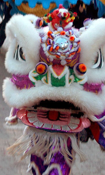 Lion_dance_costume