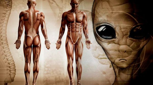 Humans-are-aliens-600×334