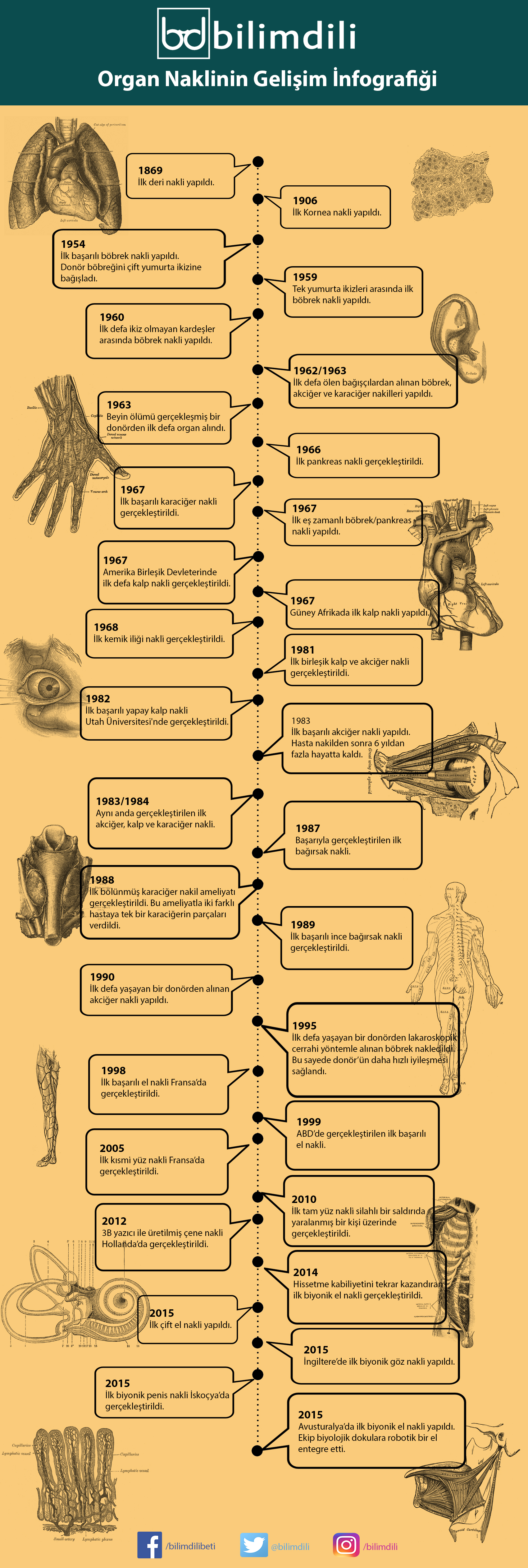 Organ Nakli İnfografik