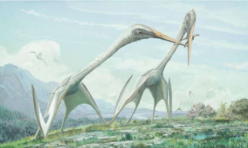 PTEROSAURS