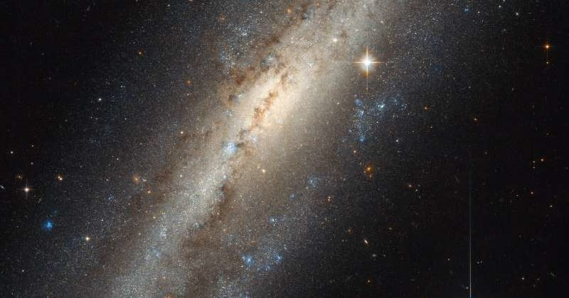 Andromeda