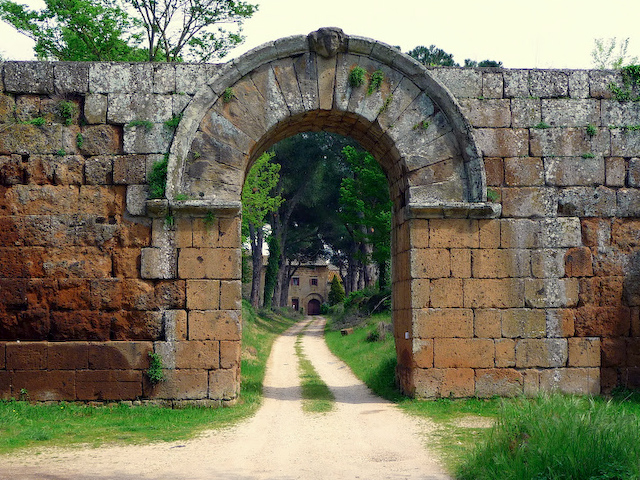 P1000337