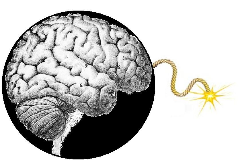 terror_brain