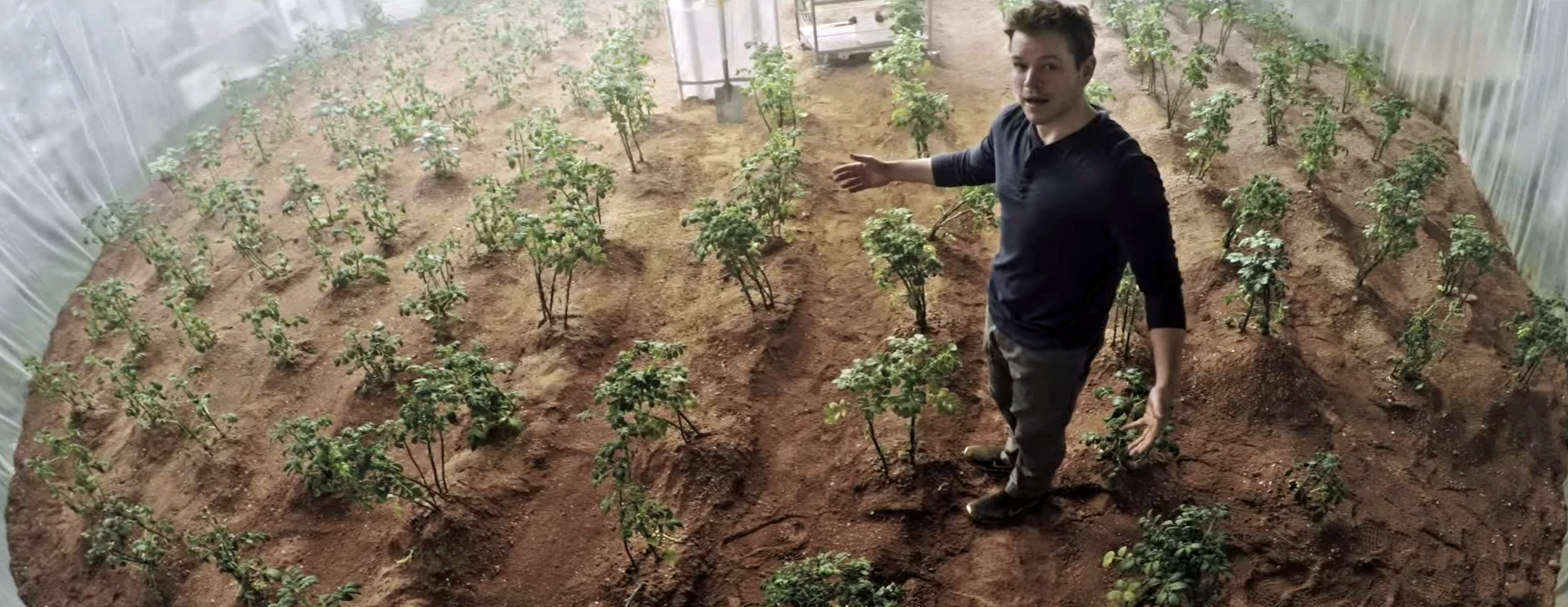 Mars Patates Serası