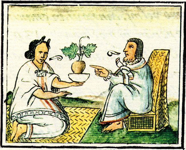 HerbsAztec