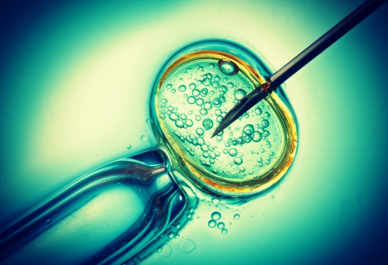 In vitro fertilisation, IVF macro concept