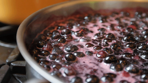 video-recipelab-blueberry-jam-articleLarge