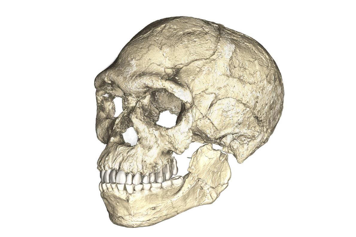 morocco-early-humans-01.adapt.1190.1