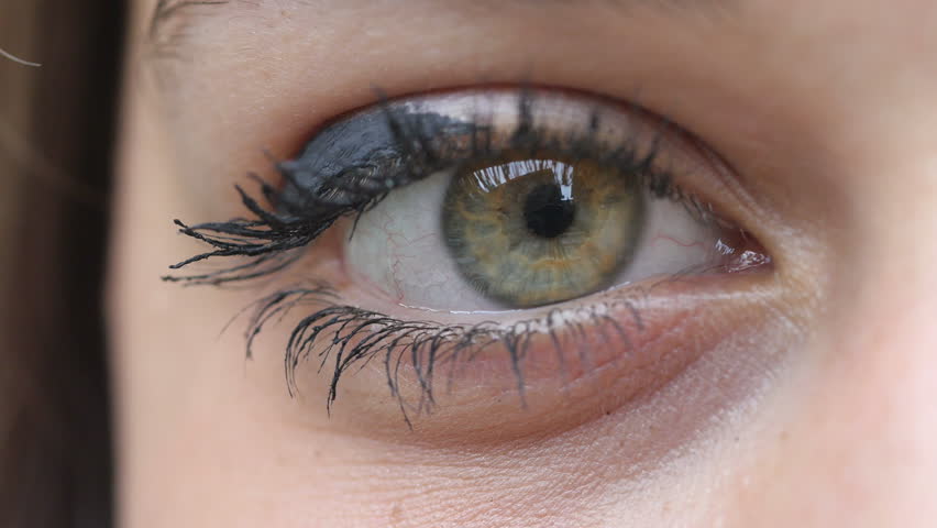 eyee