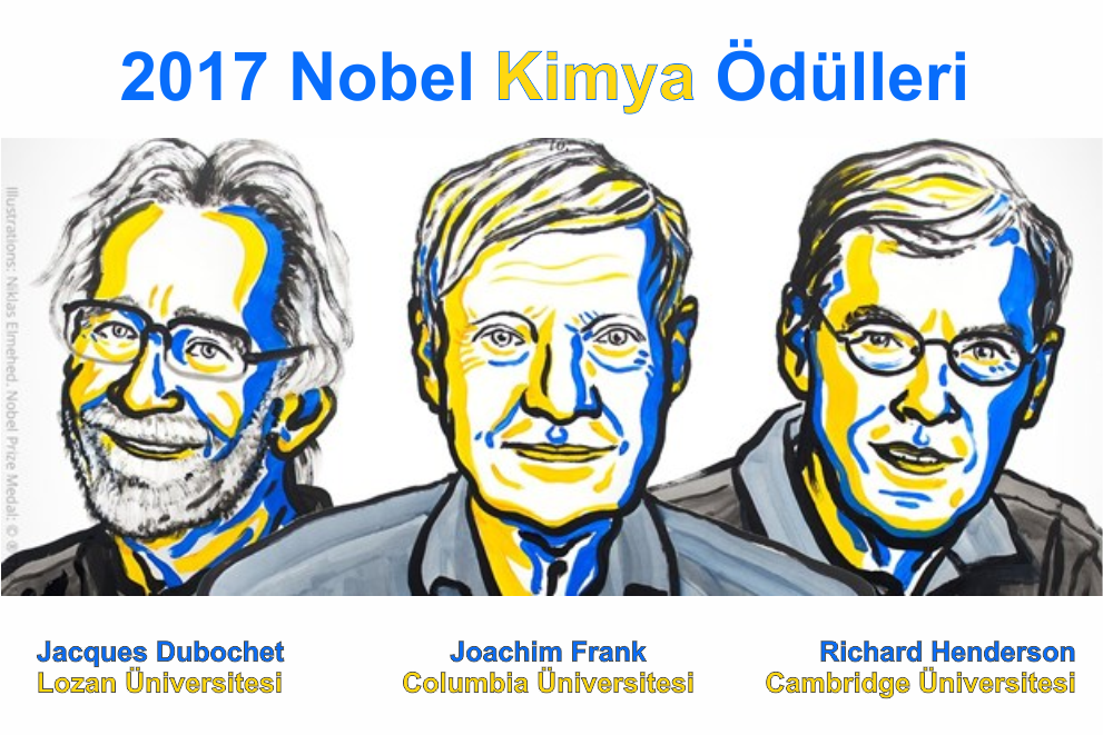 nobel kimya