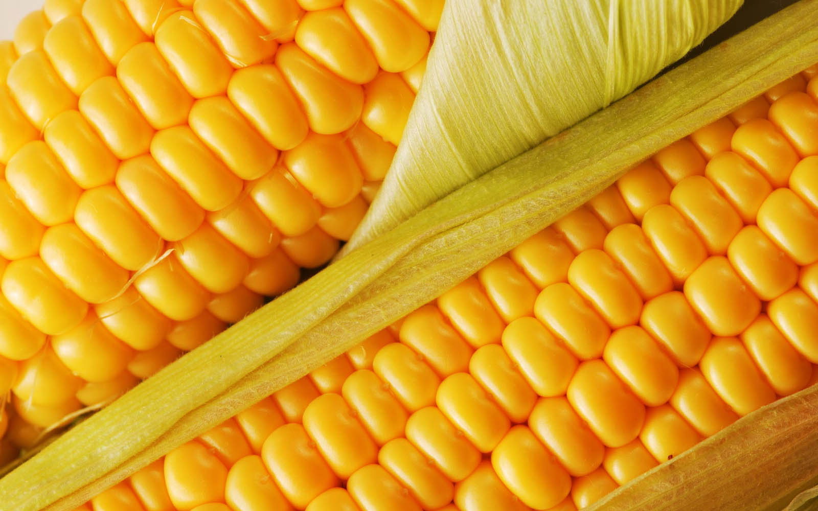 corn2112