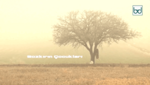 Türklerde Şamanizm