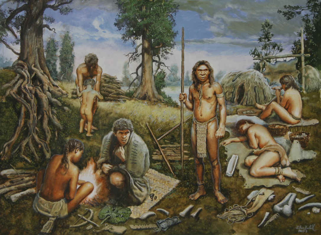 avcitoplayici1