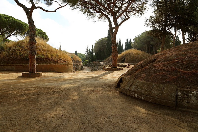 800px-Cerveteri,_necropoli_della_banditaccia,_via_sepolcrale_principale,_01