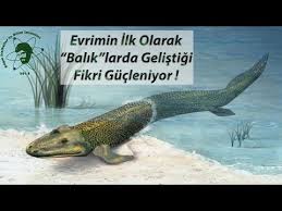 indir