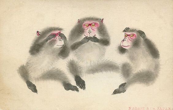 uc-bilge-maymun