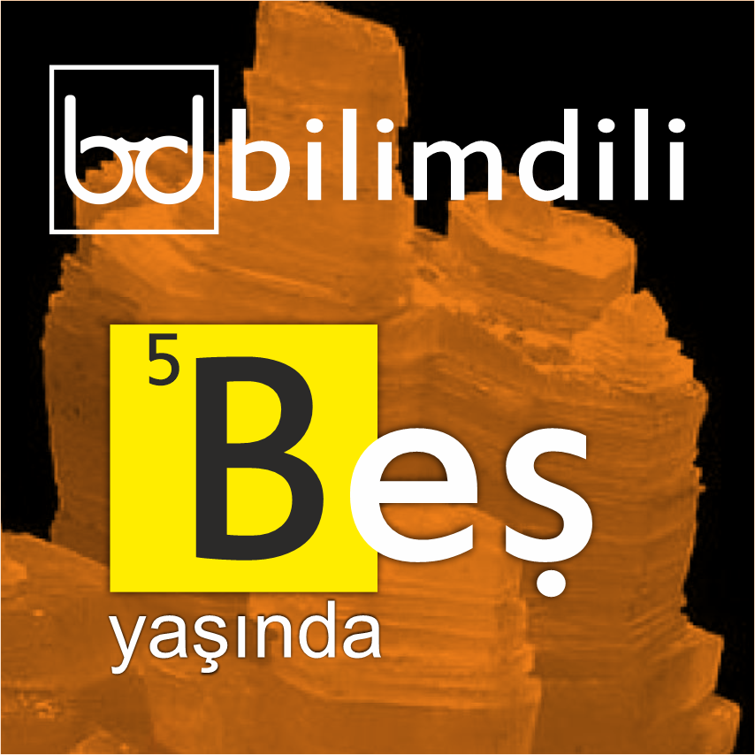 5 yaş